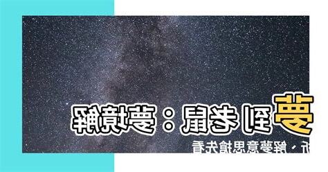 夢到 老鼠